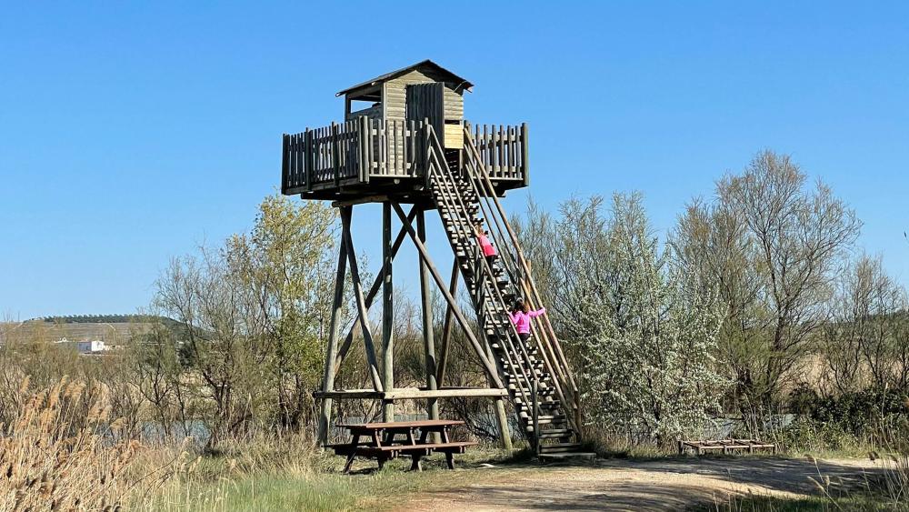 Niñas subiendo al observatorio de aves